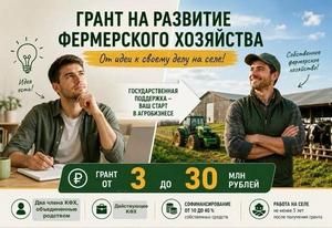 Грант на развитие фермерского хозяйства в 2026 году