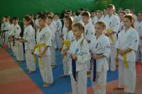22 декабря в спортивном зале школы № 2 п. Николаевки состоялись четвертый Кубок ДФО по весовым категориям среди мужчин и Открытое первенство Смидовичского муниципального района по Киокусинкай 