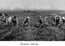 АКЦИЯ «ПОДВИГ СЕЛА»