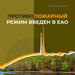 На природу — можно, жечь костер — нельзя