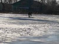 Подготовка к зимнему сезону продолжается.