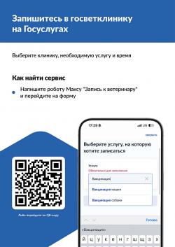 Заботиться о питомцах стало проще: записаться к ветеринару теперь можно на «Госуслугах»